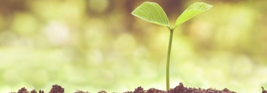 DoThe-Right Protection